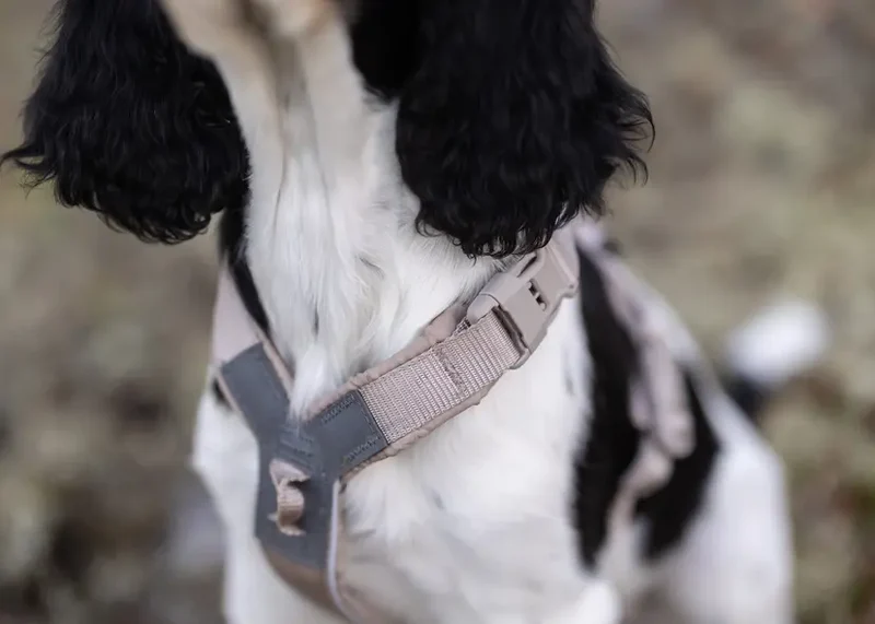 Trekking line harness CLIP'N™ - Non-Stop Dogwear - Por encargo