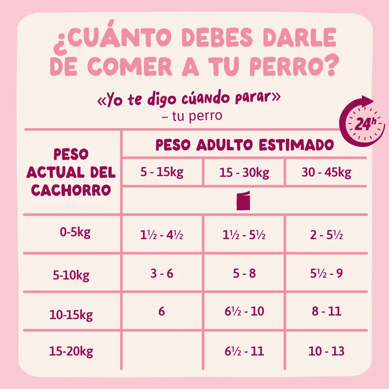 Edgard Cooper | Guiso de pavo para chuparse las patas - Ideal para cachorros