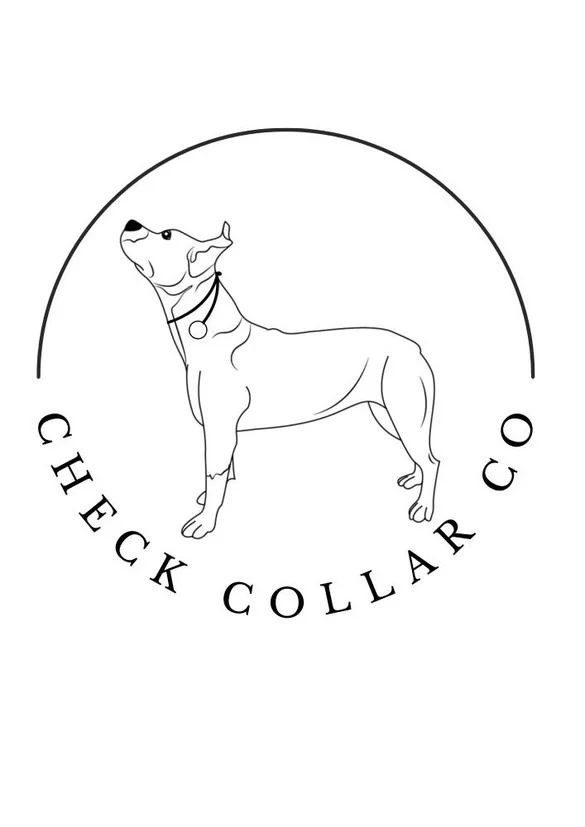 Fushia Dog check collar / grot collar / slip collar / slip lead