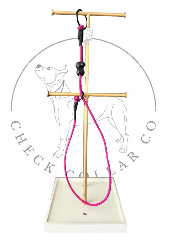 Fushia Dog check collar / grot collar / slip collar / slip lead