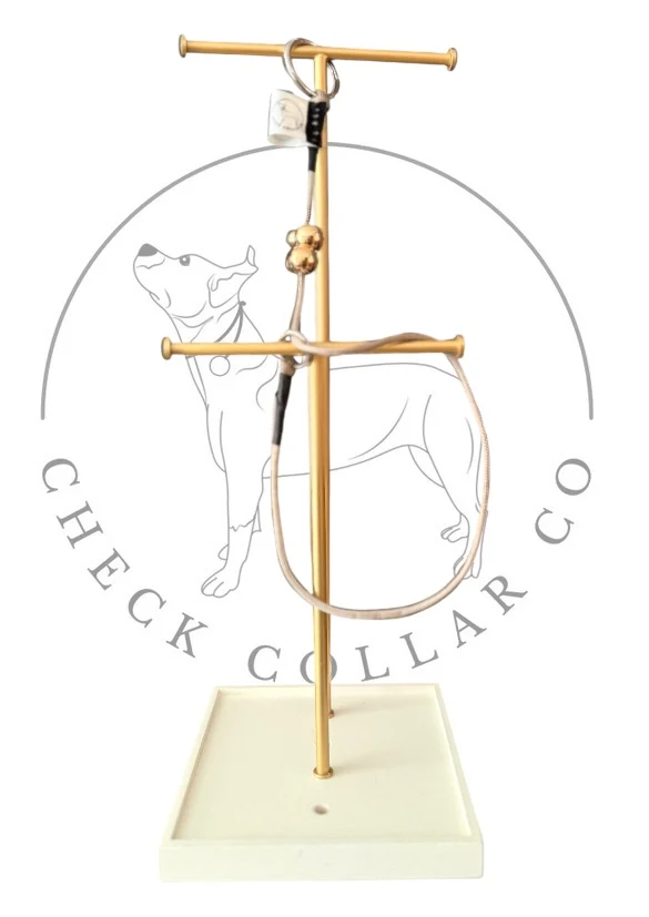 Tan Dog check collar / grot collar / slip collar / slip lead