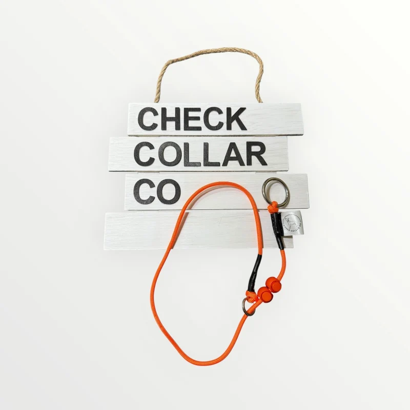 Orange Dog check collar / grot collar / slip collar / slip lead