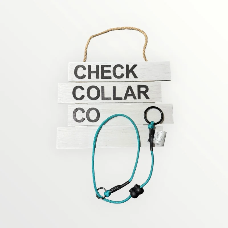 Turquoise Dog check collar / grot collar / slip collar / slip lead