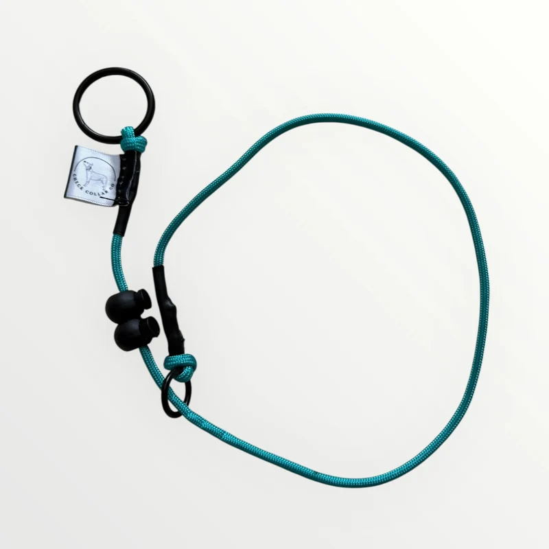 Turquoise Dog check collar / grot collar / slip collar / slip lead
