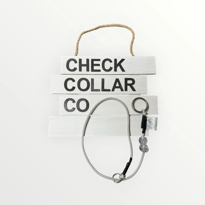 Grey Dog check collar / grot collar / slip collar / slip lead