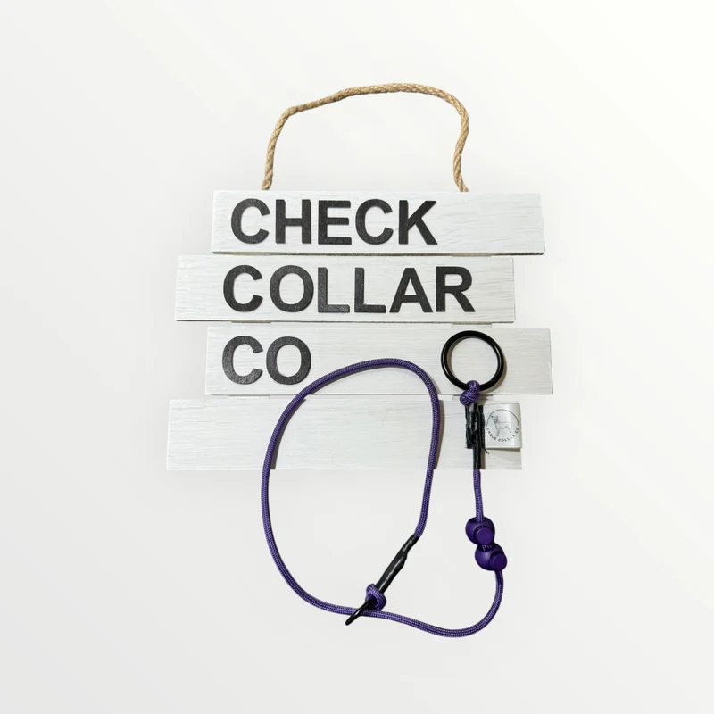 Purple Dog check collar / grot collar / slip collar / slip lead