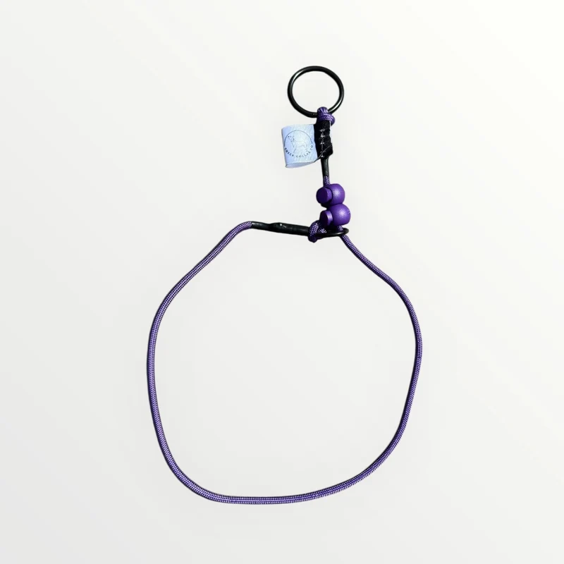 Purple Dog check collar / grot collar / slip collar / slip lead