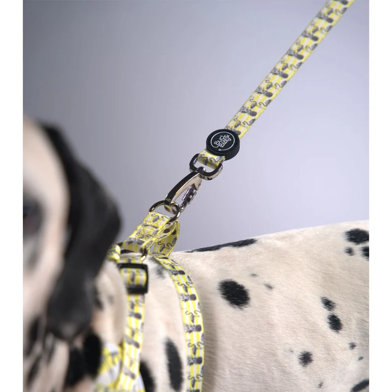 Bud & Billy Dog Strong & Durable Leash - Lightweight, 1.8 Meters (XS-L) Flamingo Collection, Yellow & White Stripe