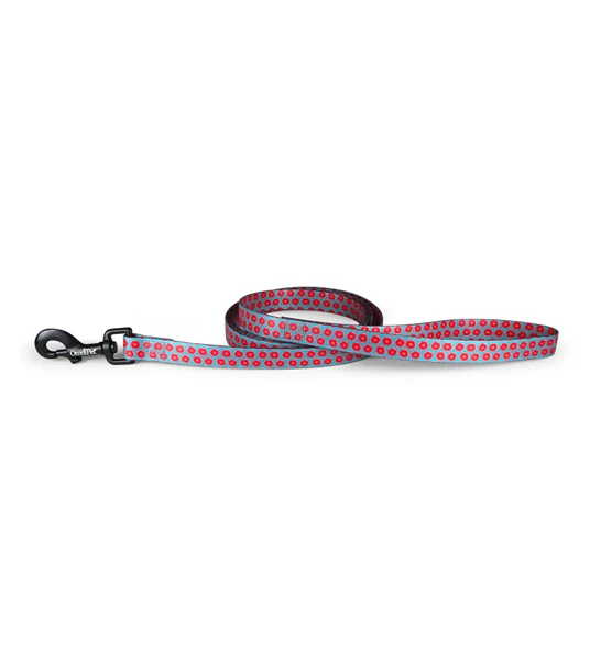 Omnipet Attitudz Juicy Leash 6ft