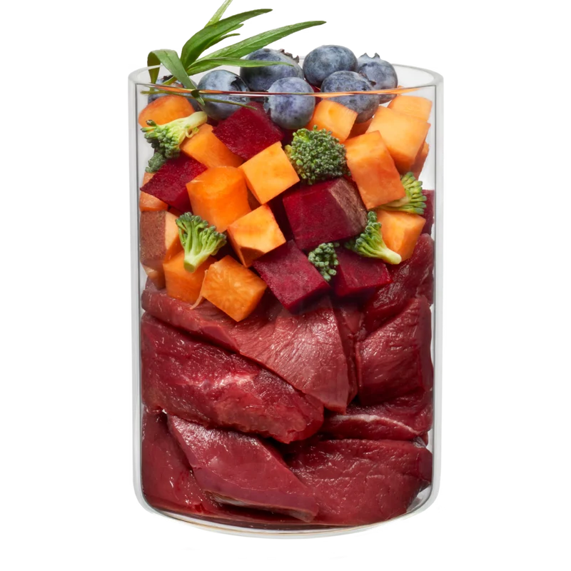 TERRA CANIS MARKTRAGOUT - Buey con brócoli, arándanos azules y salvia, sin cereales