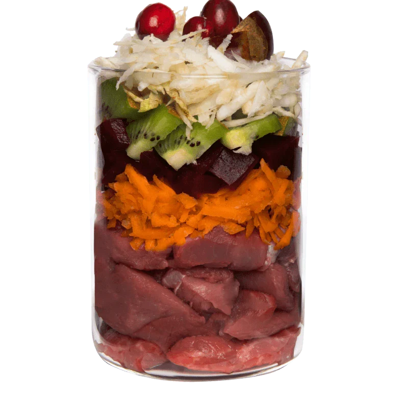TERRA CANIS GRAIN FREE - Jabalí con remolacha, zanahoria y melocotón, sin cereales