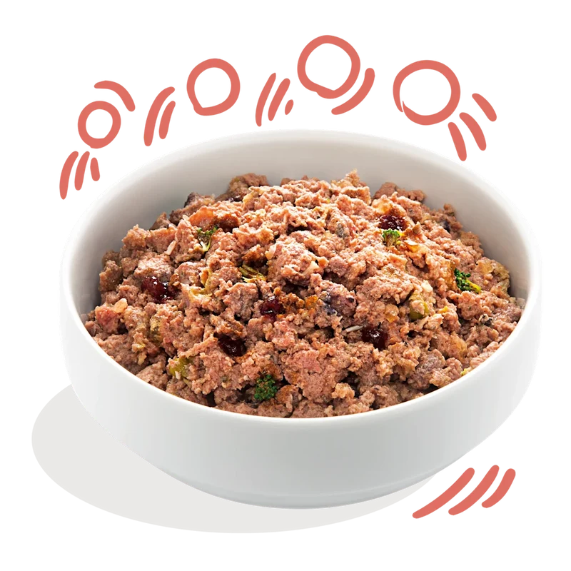 Edgard Cooper | Pollo y Salmón | Lata para Perros Senior 400g