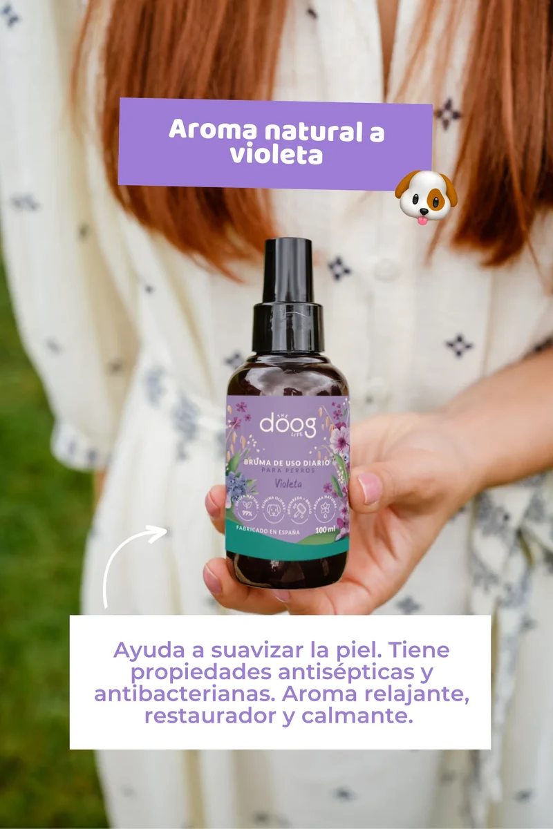 Bruma Violetas | Neutraliza olores | 100ml The Doog Life