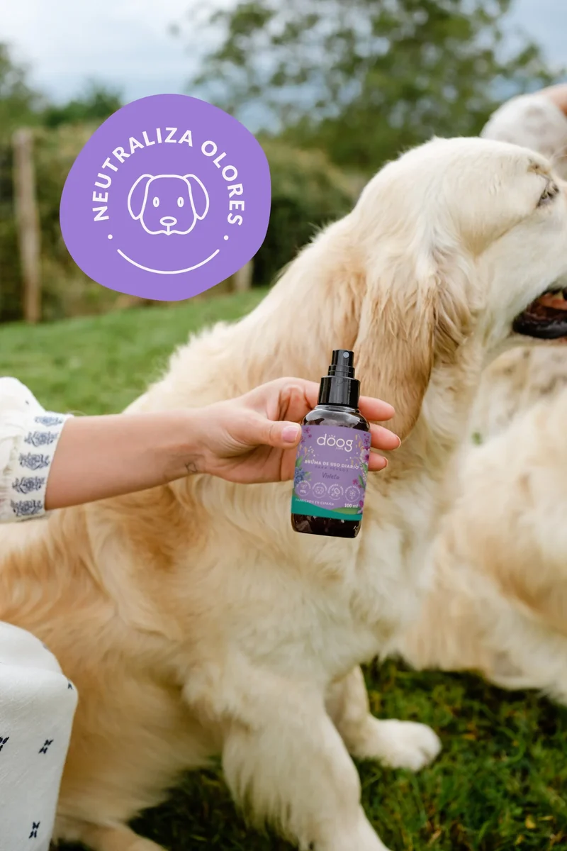 Bruma Violetas | Neutraliza olores | 100ml The Doog Life