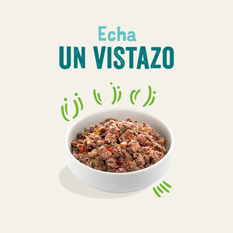 Edgard Cooper | Cordero, vacuno y zanahoria | Lata 400g y 800g