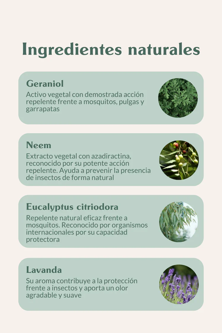 Pipetas repelentes Doog Life | Protección natural frente a insectos