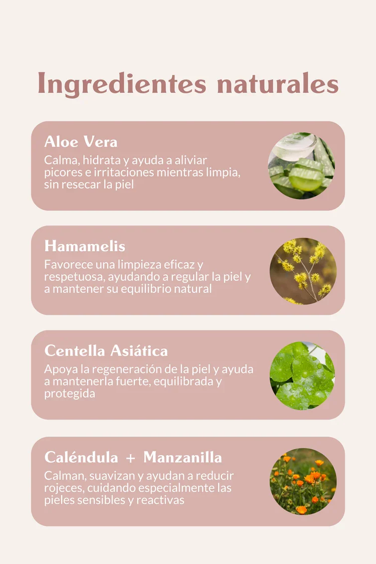 Espuma limpiadora sin aclarado | The Doog Life