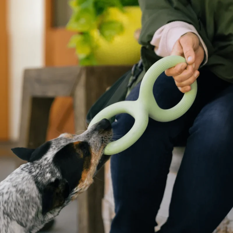 Juguete Earth Rated Tug Toy - Grande