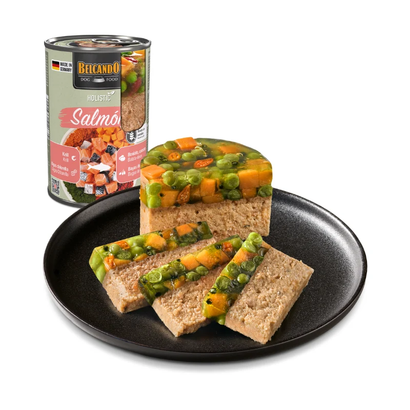 Lata de Salmón (monoproteíca) y boniato - Belcando Holistic - 400g