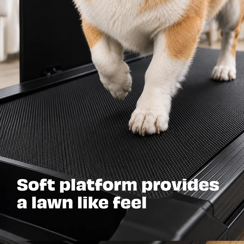 Bud & Billy Quiet & Movable Indoor Small Dog Treadmill With Monitor, Tracker & Remote Control 115x53x76cm - Black