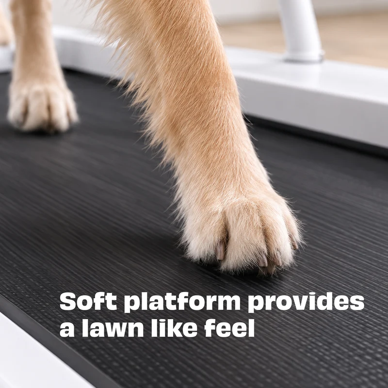 Bud & Billy Quiet & Movable Indoor Large Dog Treadmill With Monitor, Tracker & Remote Control 130x53x45cm - White