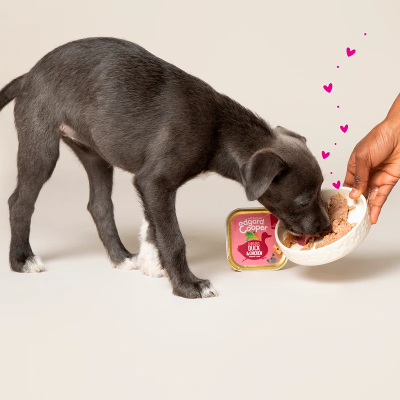 Edgard Cooper | Tarrina Pato y Pollo para Cachorros | 150g