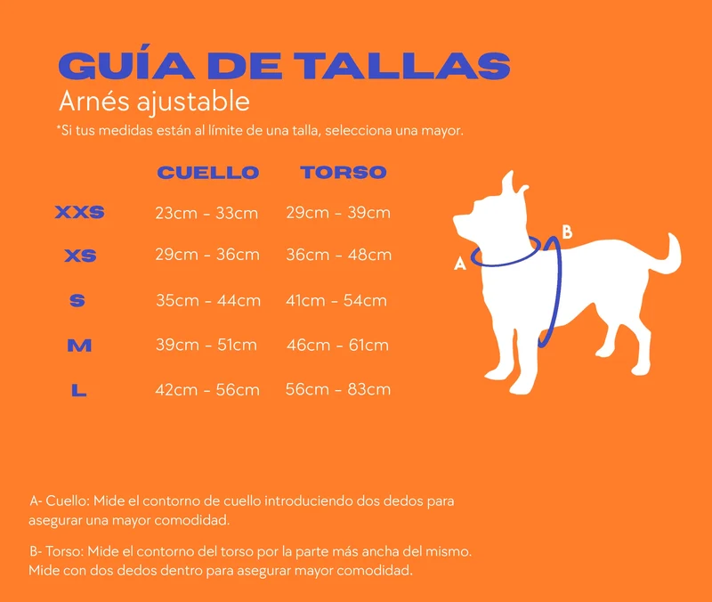 Arnés Ajustable Pollo y Paco VICHY - Azul