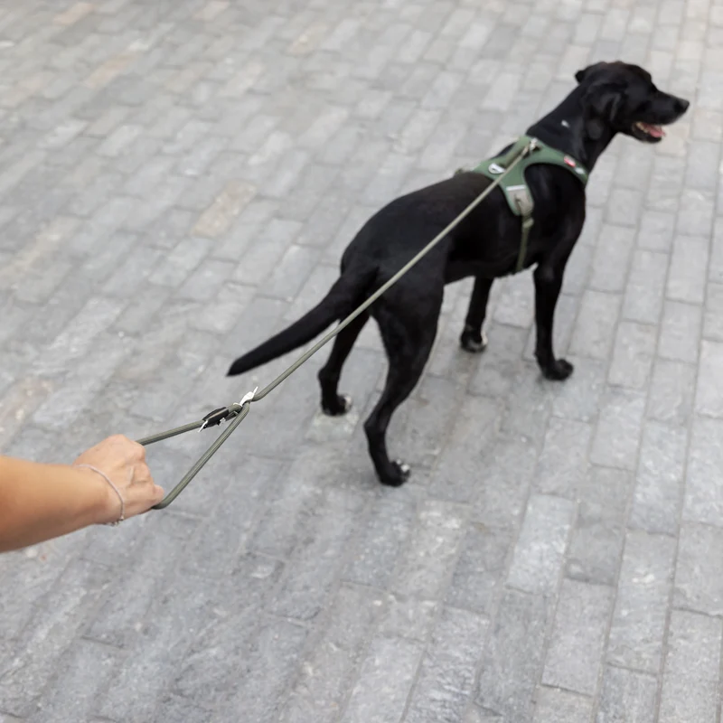 Curli Vario Comfort Dog Leash With Shock Absorbing Rope