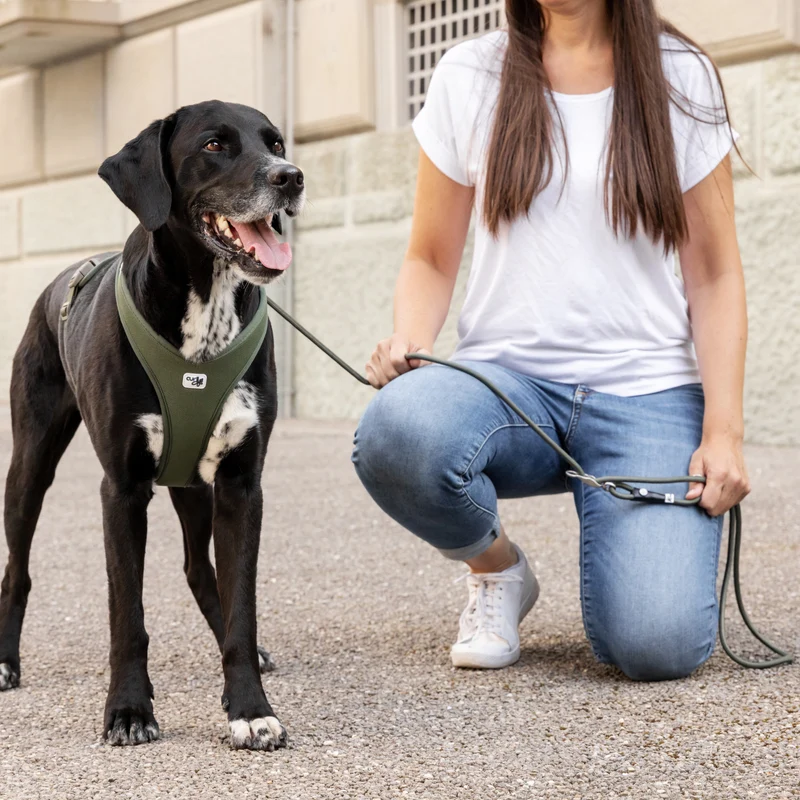 Curli Vario Comfort Dog Leash With Shock Absorbing Rope