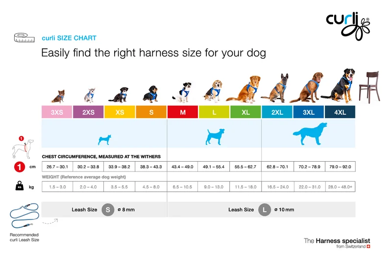 Curli Vario Comfort Dog Leash With Shock Absorbing Rope