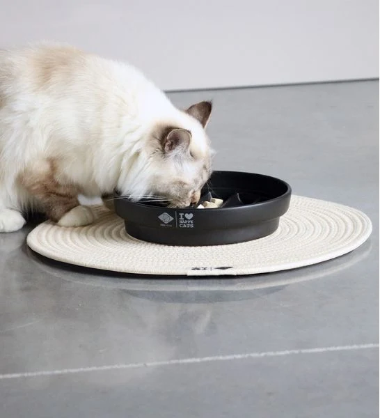 D&D Home I Love Happy Cats Sue Slow Feeder Wave Cat Bowl 20x20x4.5cm