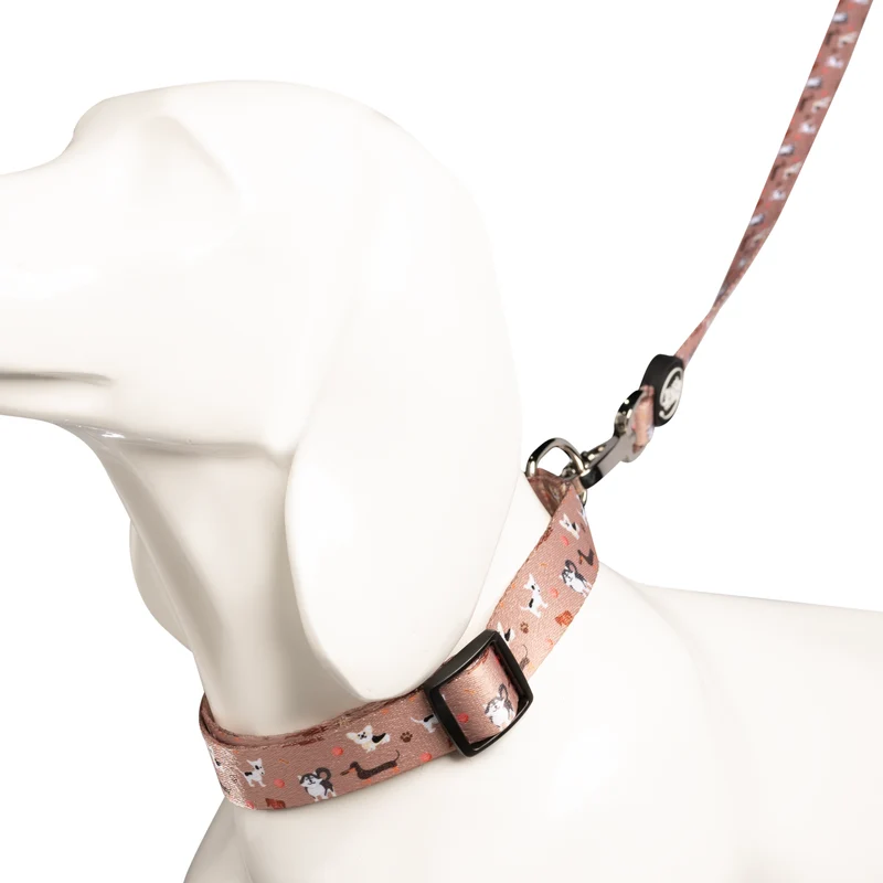 Bud & Billy Dog Park Pals Dog Collar