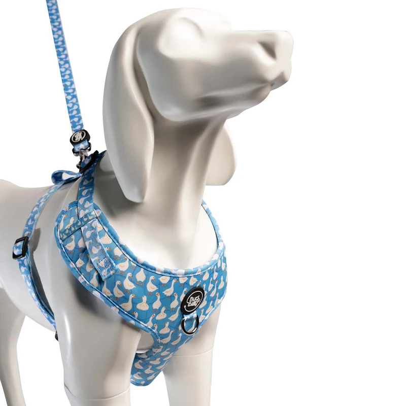 Bud & Billy Quack Squad Dog Leash