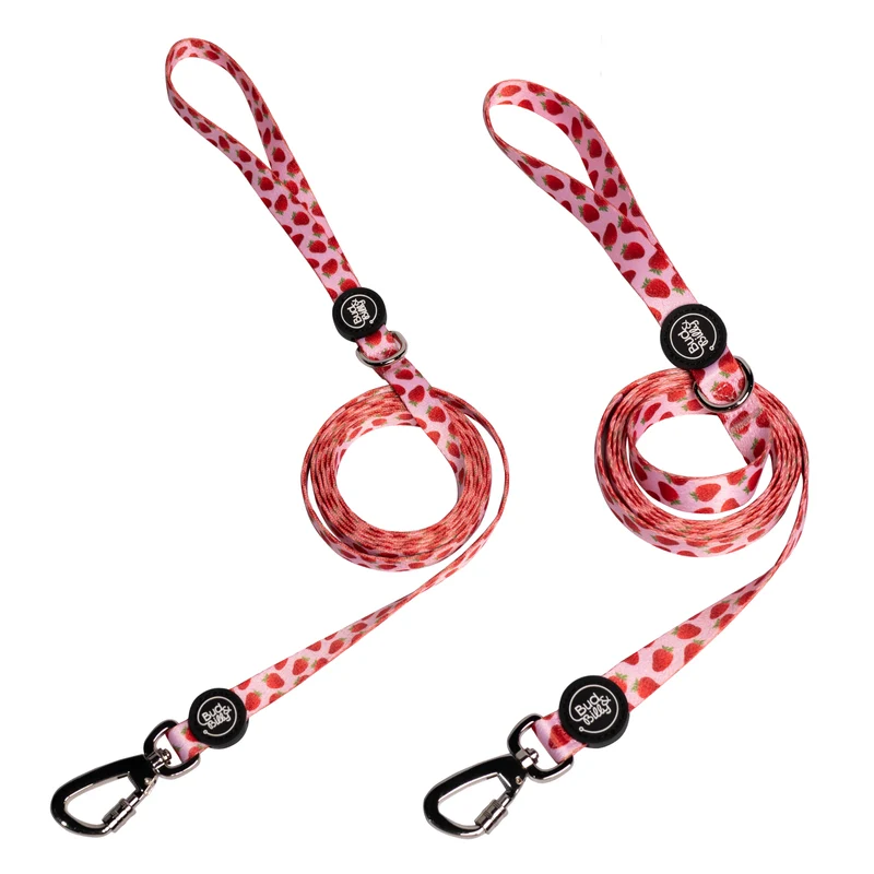 Bud & Billy Pink Berry Pop Dog Leash