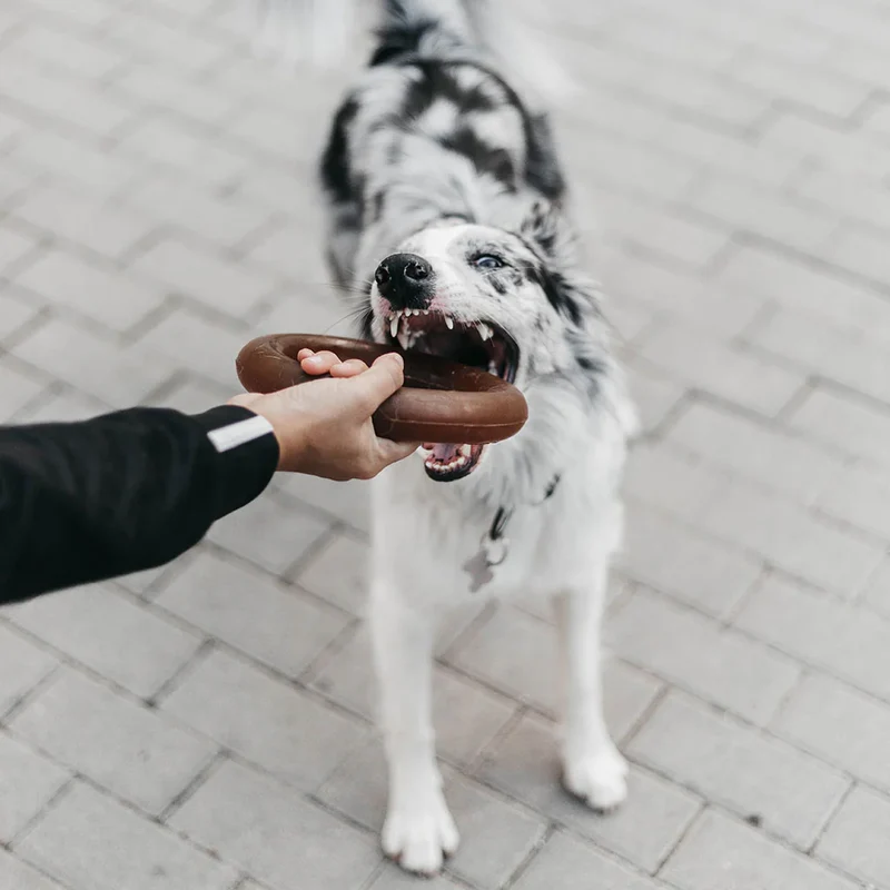 Juguete para Perros - Retorn Rub Bite