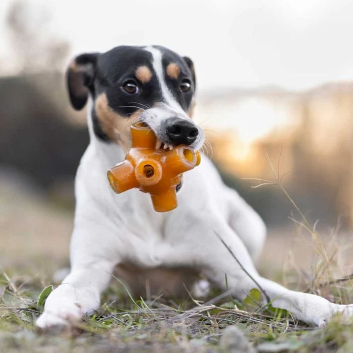 Juguete para Perros - Retorn Rub Free jump
