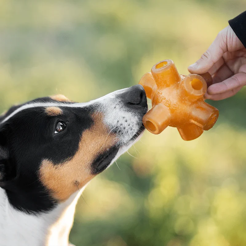 Juguete para Perros - Retorn Rub Free jump