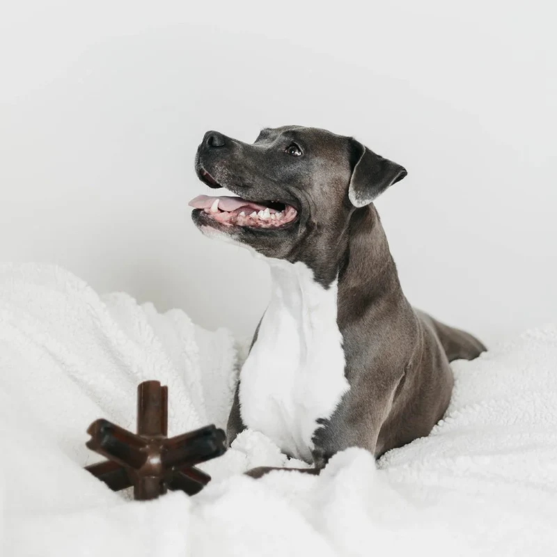 Juguete para Perros - Retorn Rub Star