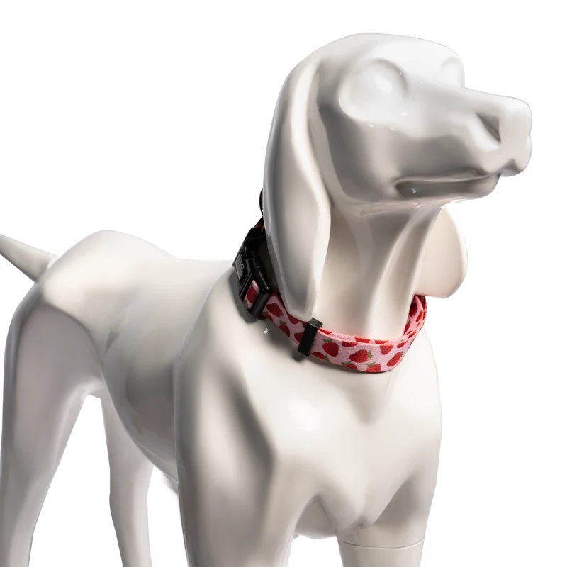Bud & Billy Pink Berry Pop Dog Collar