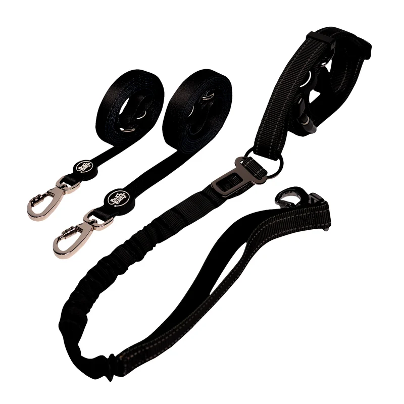 Bud & Billy Urban Black Dog Leash