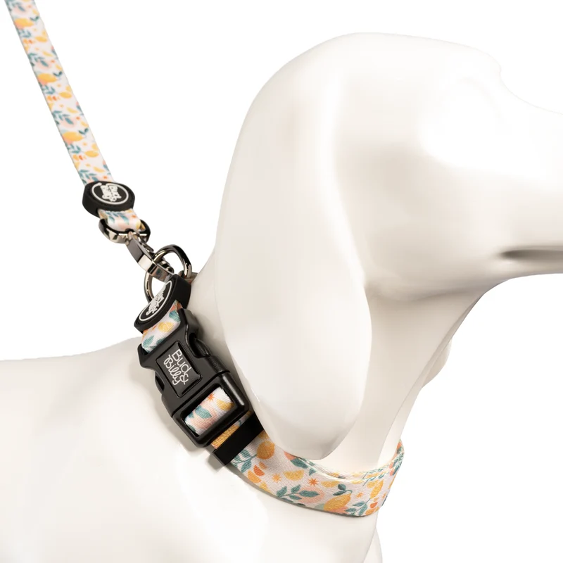 Bud & Billy Citrus Bloom Dog Leash