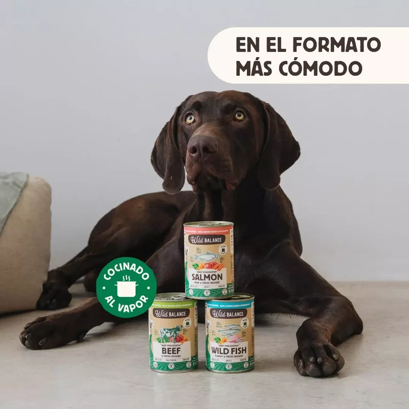 Lata de Salmón y Ternera – Comida cocinada al vapor de Wild Balance