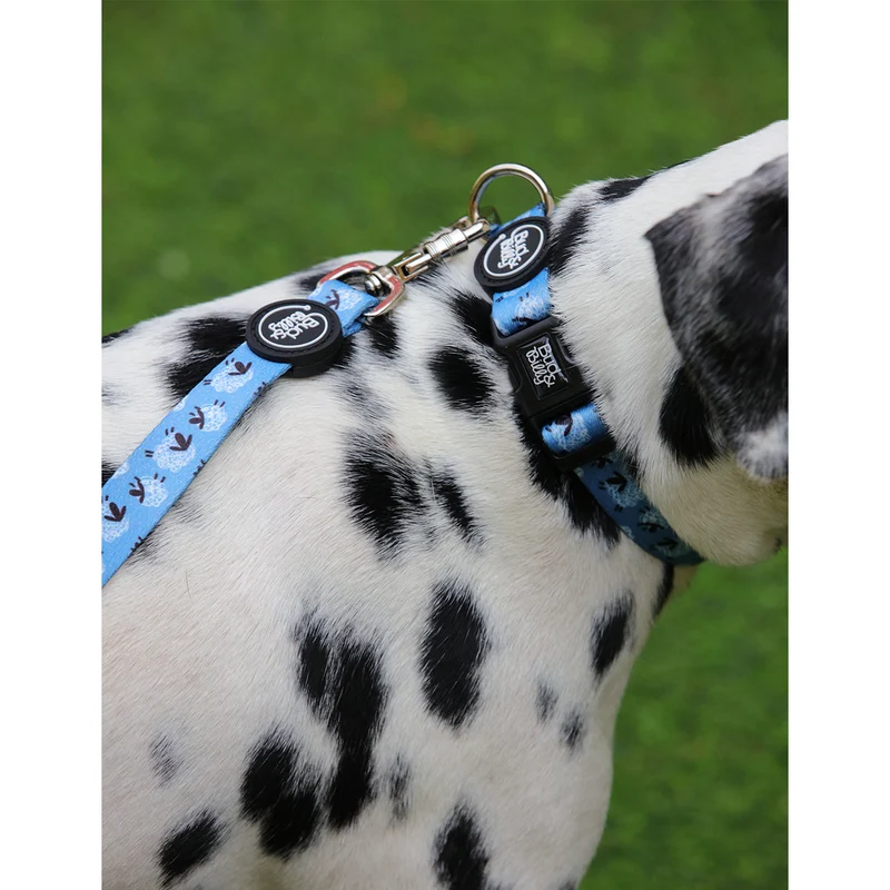 Bud & Billy Dog Collar (XXS-XL) - Counting Sheep Collection, Blue & White