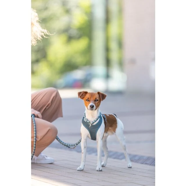 Trixie Cavo Semi-Choke Dog Collar