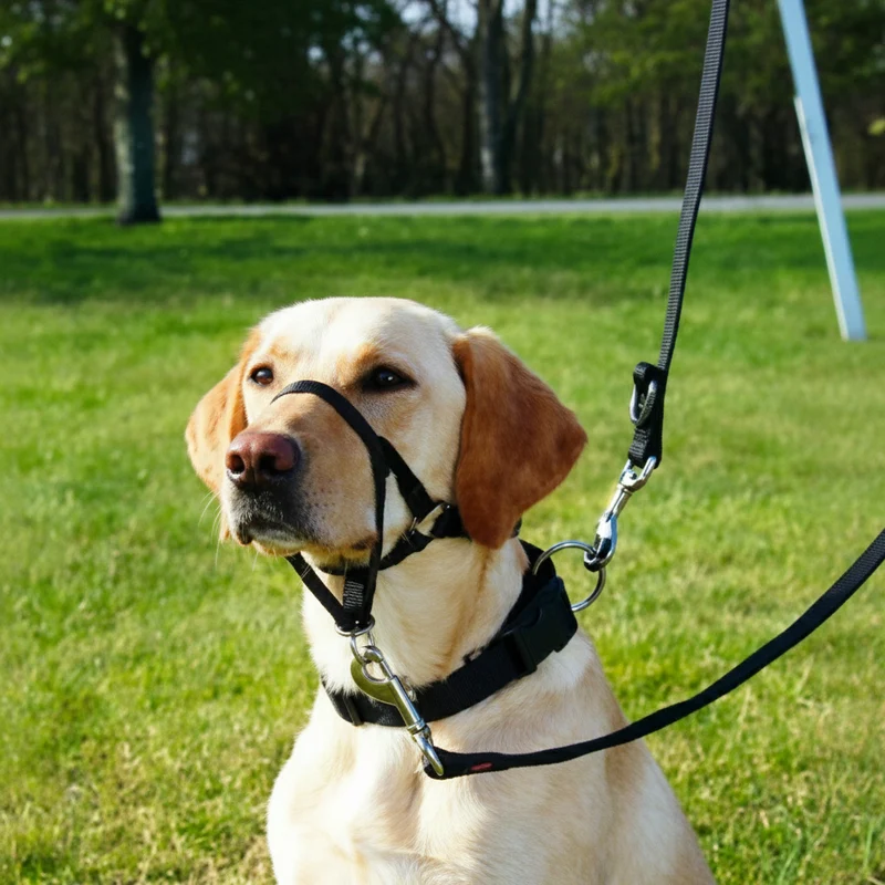 Trixie Top Trainer Headcollar for Dogs