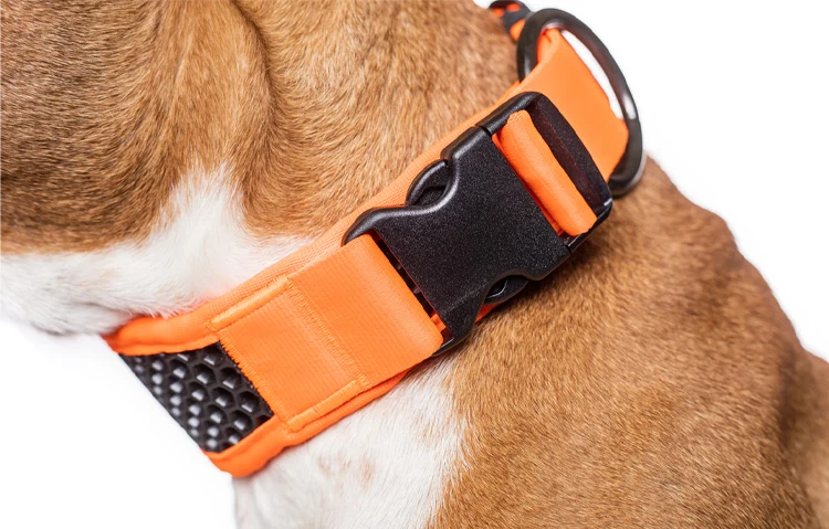 Tamer SOFTY Perforated Foam & Light Collar For Dogs