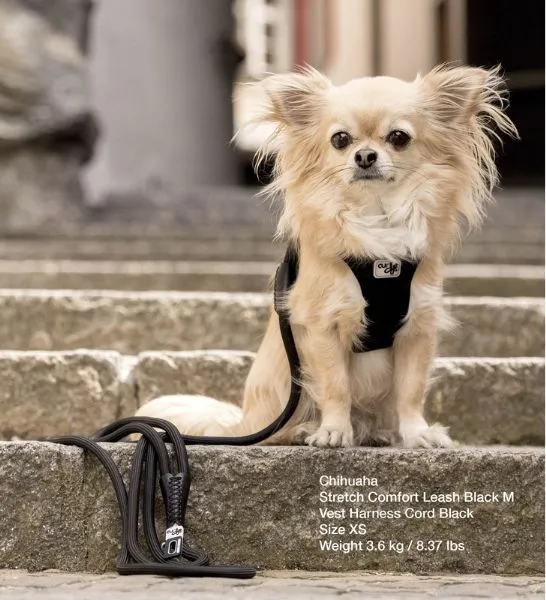 Curli Stretch Comfort Leash for Dogs