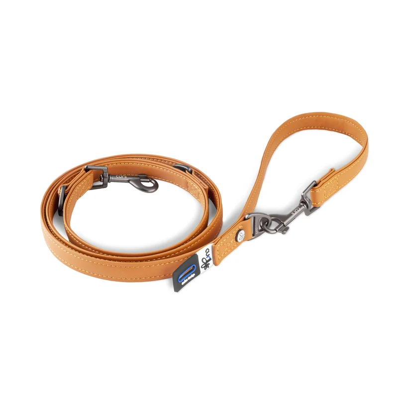 Curli Apple Vegan Leather Adjustable Leash For Dogs