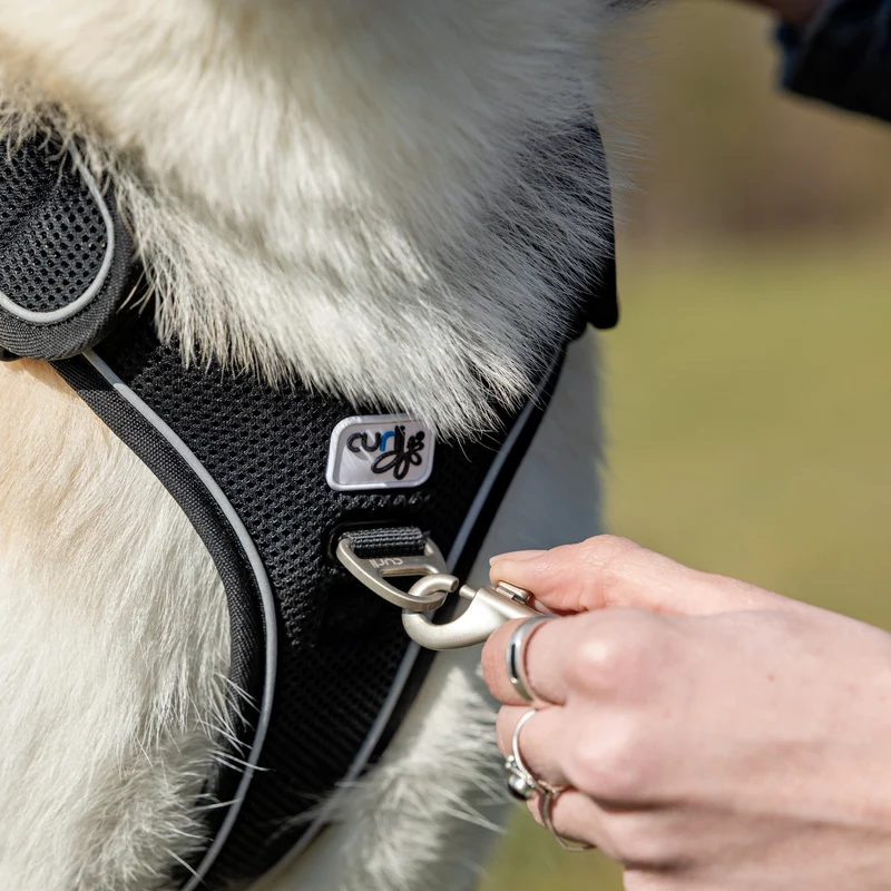 Curli Adjustable Nylon Leash for Dogs