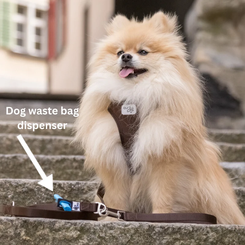 Curli Adjustable Nylon Leash for Dogs